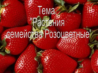 rasteniya sem'iystva rozotsvetnye — PPT