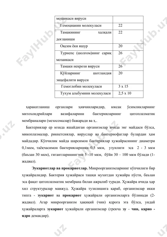 мейоз мавжуд ва хромосомалар ҳамма ирсий хусусиятларни ўтказади хромосомалар сони битта хромосома бирдан ортиқ хромосомалар хромосомалар таркиби днк днк ва оқсил хромосомалар сони гаплоид гаплоид ёки диплоид цитоплазматик днк плазмидалар ва эписомалар (мембрана билан ўралмаган) митохондриялар, хлоропластлар, центриолалар, гольжи аппарати, кинетосомалар (базал таначалари) гаметалар организмнинг ўзи организмнинг ўзи ёки мейознинг махсус маҳсулотлари днк концентрацияси граммларда гаплоид ядрога нисбатан 4,3 . 10-15 1,5 . 10-12 жараёнини олиб борувчи организмларда эса хлоропластлар, гольджи аппаратлари, днк, рнк ва оқсиллар мавжуд. рибосомалари эса 80 s ни (сведберг коэффиценти) ташкил қилади. ядро аппарати содда (диффуз ҳолда) бўлган микроорганизмлар прокариотлар дейилади. прокариот ҳужайраларда ядро билан цитоплазма орасида аниқ чегара йўқ, ядро мембранаси бўлмайди. уларда днк махсус структурага эга эмас. шунинг учун прокариотларда митоз ва мейоз жараёнлари амалга ошмайди. рибосомалари эса 70 s ни ташкил қилади. митохондрия ва хлоропластларга эга эмас. митохондрий вазифасини мезосомалар (цитоплазматик мембранадан ҳосил бўлган структура) бажаради. бактерияларнинг шакллари. ташқи кўринишига қараб улар уч …
