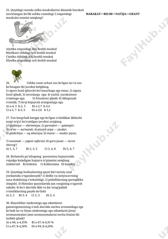 da yashil massa to‘playdi a) 1.5. b) 2.4 c)3.4 d) 1.4. 12. dissimilyatsiya jarayonida ishtirok etadigan hujayra strukturalarini aniqlang. 1-ribosoma 2-endoplazmatik to‘r 3- golji majmuasi 4- xloroplast 5- lizosoma 6-mitoxondriya a) 3,5 b) 1,4 c) 2,6 d) 5,6 13. litosfera (a) gidrosfera (b) qatlamida yashovchi organizimlarni aniqlang. a. a- qizil chivalchang, biy. b-krab, mindano(baliq). b. a-langust, chopqir faeton, b-biy, krevetka. c. a-buzoqbosh, ko‘rsichqon, b-omar, beluga d. a-krivetka, zaxkash, b-gambuziya(baliq), gulmoyi. 14. .maʼlum bir oʼsimlikda poyasining uzunligini ikki juft polimer genlar (a¹, a²) taminlaydi. dominant gen 40 sm, uning retsessiv alleli 20 sm uzunlikni taminlaydi. genotipda h geni boshqa genlar ta’siri ning yuzaga chiqishiga toʼsqinlik qilmaydi, h geni esa gomozigota holatda qolgan genlar faoliyatini boʼgʼishi natijasida oʼsimlik juda past boʼyli boʼlib qoladi. agar a¹a¹a²a²hh va a¹a¹a²a²hh genotipli oʼsimliklar chatishtirilsa, juda past boʼyli oʼsimliklarni hisobga olinmaganda 120 smli oʼsimliklar avlodlar orasida necha foizni tashkil etadi? a)28,125 b) 37,5 c) 50 d) 62,5 …