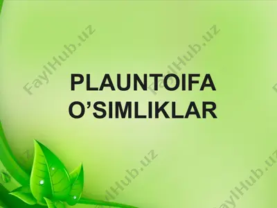 plauntoifa o’simliklar — PPTX