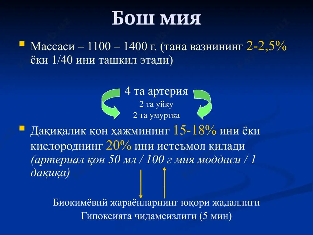 трепанация: оливекрона усули трепанация турлари 2. декомпрессив (резекцион) трепанация кушинг буйича краниопластика бош жароҳатига дастлабки жарроҳлик ишлови бериш жароҳат қирғоқларини тежаб кесиб ташлаш суяк жароҳатини текислаб резекция қилиш физ.эритма билан шикастланган мия тўқимасини ювиб ташлаш суяк бўлакчаларини чиқариб олиш n.facialis-нинг юздаги шохлари катта ғоз панжаси 5 гуруҳ: чакка шохлари ёноқ шохлари лунж шохлари пастки жағнинг қирғоқ шохи бўйин шохи кесимлар радиал йўналишда ўтказилади юзда кесимлар image2.png image3.png image4.jpeg image5.jpeg image6.png image7.jpeg image8.jpeg image9.jpeg image10.jpeg image11.png image12.png image13.jpeg image14.png image15.jpeg image16.png image17.png image18.png image19.jpeg image20.jpeg image21.jpeg image22.jpeg image23.jpeg image24.jpeg image25.jpeg image26.jpeg image27.jpeg image28.jpeg image29.png image30.png image31.png image32.jpeg image33.png image34.jpeg image35.jpeg image36.jpeg image37.jpeg image38.png image39.png image1.jpeg