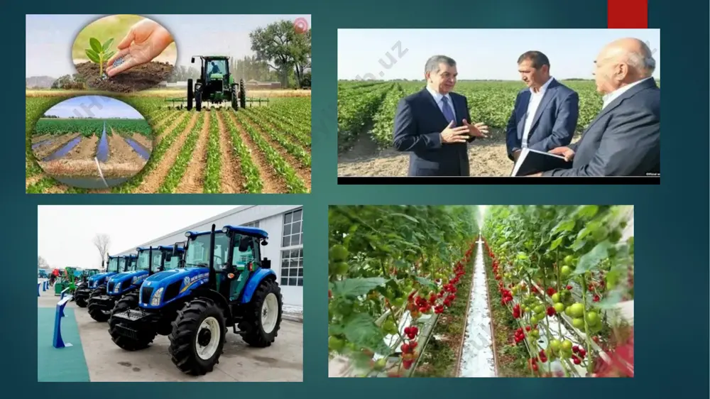 lashtirish 🔹 dunyo bo‘ylab infratuzilma va ijtimoiy rivojlanishni qo‘llab-quvvatlaydi 4️⃣ iqtisodiy hamkorlik va taraqqiyot tashkiloti (oecd – organization for economic cooperation and development) tashkil etilgan yili: 1961 bosh qarorgohi: parij, fransiya asosiy maqsadi: • iqtisodiy rivojlanishni tahlil qilish va prognozlash • davlatlarga moliya, ta’lim va innovatsiyalar sohasida maslahatlar berish • korruptsiyaga qarshi kurash va biznes muhiti yaxshilash 🔹 rivojlangan davlatlar uchun muhim maslahat beruvchi tashkilot 5️⃣ yevropa markaziy banki (ecb – european central bank) tashkil etilgan yili: 1998 bosh qarorgohi: frankfurt, germaniya asosiy maqsadi: • yevro zonasidagi pul-kredit siyosatini yuritish • inflyatsiyani nazorat qilish • yevro valyutasining barqarorligini ta’minlash 🔹 yevropa ittifoqi mamlakatlari uchun moliyaviy siyosatni boshqaradi 3. mintaqaviy iqtisodiy tashkilotlar 🌍 osiyo taraqqiyot banki (adb) – osiyo davlatlariga moliyaviy yordam beradi. 🌍 islom taraqqiyot banki (idb) – islom mamlakatlarida iqtisodiy rivojlanishni qo‘llab-quvvatlaydi. 🌍 evrosiyo iqtisodiy ittifoqi (eaeu) – mdh davlatlari o‘rtasidagi iqtisodiy hamkorlikni kuchaytirish. 🌍 afrika taraqqiyot banki (afdb) …