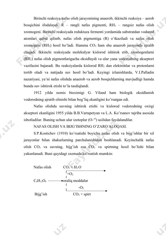 rgalikda oksidlanish – qaytarilish tizimini tashkil etadi. bu reaksiyalarni boshqaruvchi fermentlarga oksidoreduktazalar deyiladi. fermentlarning donor va akseptor bilan aloqasini quyidagicha izohlash mumkin: dh2 ye ah2 d yeh2 a bu yerda d – donor elektron va protonlarini ajratadi, ye- ferment tashuvchilik reaksiyasini bajaradi, a- akseptor ularni qabul qiladi. oksidoreduktazalar uch gruppaga bo’linadi: 1)anaerob digidrogenazalar, 2) aerob digidrogenazalar, 3) oksigenazalar. oksidazalar- elektronlarni faqat kislorodga yetkazib beradi. aerob xarakterga ega. bu fermentlar ishtirokida uch xil birikma hosil bo’ladi: 1) suv, 2) vodorod peroksid, 3) kislorodning superoksid anioni. vodorod va superoksid anioni (o2 -) zararli bo’lgani uchun hujayrada fermentlar yordamida neytrallanadi: superoksiddismo’taza 2 o2 - + 2h+ o2 + h2o2 2 h2o2 o2+2h2o katalaza suvning hosil bo’lishida fermentlardan sitoxromoksidazalar, polifenoloksidazalar va boshqalar, vodorod peroksidning hosil bo’lishida – flavoproteinoksidazalar, kislorodning superoksid anioni hosil bo’lishida – ksantinoksidazalar ishtirok etadi. bu fermentlar yordamida kislorod aktiv holatga o’tadi va organik moddalar bilan birlashadi. anaerob nafas olish. uglevodlarning anaerob …
