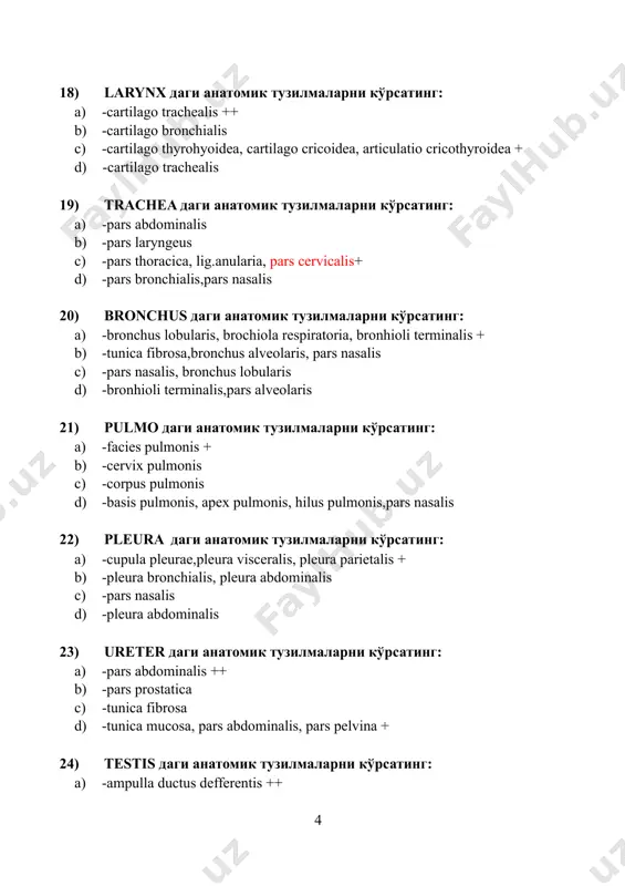 -a. pancreaticoduodenalis superior,а. rectalis c) -a. colica sinistra,a. uterine d) -а. colica sinistra, а. renalis 34) a.popliteaнинг тармоқлари бу: a) -a. recurrens tibialis posterior + b) -a. genus superior medialis et lateralis,a. genus inferior lateralis et medialis, a. genus media c) -a. tarseae medialis d) -a. cremasterica 35) cor даги анатомик тузилмаларни кўрсатинг: a) -pericard, myocardium, endocardium + b) -tunica mucosa c) -tunica serosa d) -tunica adventitia 36) a. carotis internaнинг тармоқлари бу: a) -a. cerebri anterior ,a. cerebri media,a. communicans anterior + b) -a. cerebri posterior c) -a. cerebri lateralis d) -a. ciliares posterior 37) cavum nasi даги анатомик тузилмаларни кўрсатинг: a) -meatus nasi superior,canalis nasolacrimalis, choanae + b) -canalis palatinus major c) -choanae anterior d) -foramen lacerum, fossa pterygoidea 38) lingua даги сўрғичлар бу: a) -sulcus linguae inferior + b) -collum linguae c) -papillae filiformes,papillae conicae, sulcus medianus linguae d) -papillae epiglottica e) -istmus linguae 39) intestinum tenue …