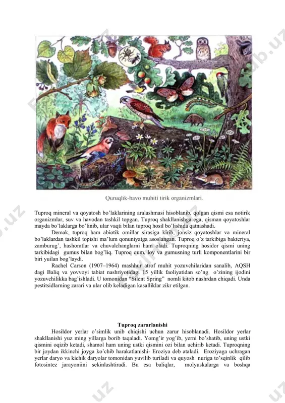 0 101,6 103,7 8 o’zbekiston respublikasi maydoni 44884 44884,4 44884,4 44884,4 44884,4 tuproq shо‘rlanishi tuproq shо‘rlanishi – sug‘orma dehqonchilikda rivojlanishni chegaralaydigan sabablardan biri hisoblanadi. masalan: iroqda sug‘oriladigan maydonlarning 50 % ga yaqini, amerikada esa 27 % dan ortiqroq maydon shо‘rlangan. tuproq shо‘rlanishi agrobiotsenoz (sun’iy) va biotsenozlar (tabiiy) hosildorligini tо‘satdan cheklab qо‘yadi, organizmlarning tur tarkibi va ekotizimlarning xilma-xilligini kamaytiradi va hududlarni chо‘lanishiga olib keladi. shо‘rlanish qoraqalpog‘iston, buxoro, sirdaryo, qashqadaryo, xorazm vohalaridagi yerlarni zararlagan. asoslanmagan holda yerlarni о‘zlashtirish, suv taqchilligi va orol dengizi suvining kamayishi hisobiga 1991 yildan e’tiboran, о‘zbekistonda kо‘plab yerlarni о‘zlashtirish tо‘xtatildi. tuproq eroziyasi tuproqnnig hosildorligiga salbiy ta’sir qiladigan omillar: - shamol eroziyasi (deflyatsiya); - suv eroziyasi deflyatsiya. shamol ta’sirida mayda tuproq bо‘lakchalari uchib ketadi va tuproqda qum miqdori oshadi. deflyatsiya ta’sirida tuproqda gumus miqdori kamayadi va agroximik, suvning fizik xossalari yomonlashadi. deflyatsiyaga uchragan yerlar farg‘ona, surxondaryo, qashqadaryo, buxoro viloyatlarida uchraydi. ayniqsa, sezilarli darajada deflyatsiya orol dengizi qurishi hisobiga qoraqalpog‘iston …