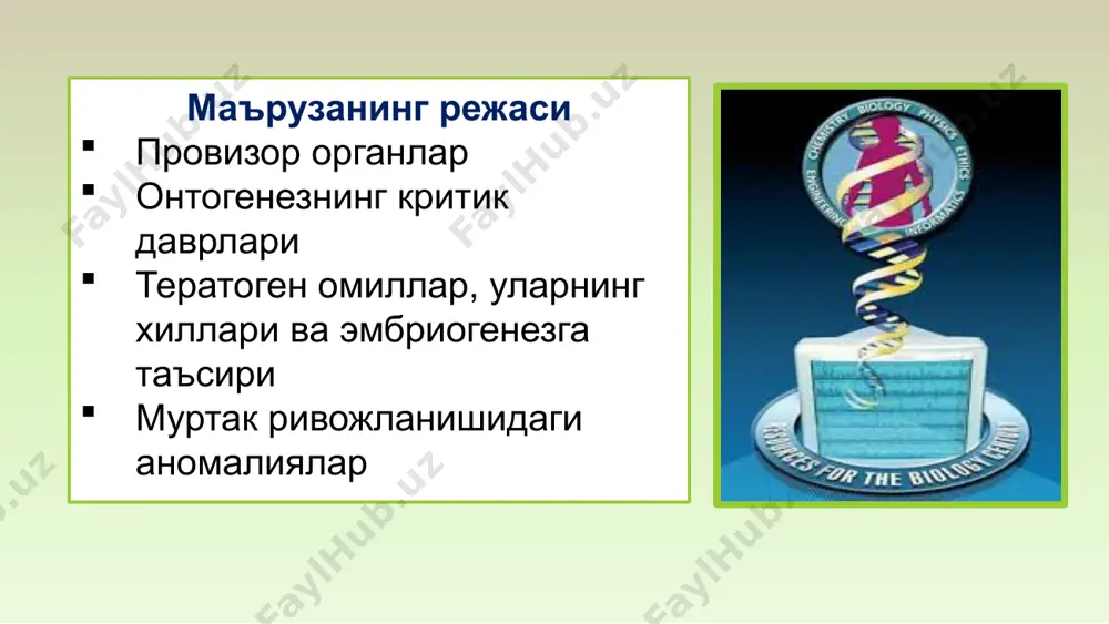 лаш, айириш ҳамда гормон ҳосил қилиш каби муҳим вазифаларни бажаради. сутэмизувчиларда хорион сўрғичлари бачадон девори шиллиқ қавати билан туташиб кетади, бу жой бола ўрни ёки йўлдош дейилади. ҳомила йўлдош билан қон томирларга бой бўлган киндик орқали боғланган. она қони ҳомила қони билан аралашмайди. сутэмизувчиларда йўлдош тузилишига яъни она қонини ҳомила қонидан ажратувчи қаватларга қараб ҳар хил типларга бўлинади: эпителиохориал (от, чўчқа, китсимонлар) синдесмохориал (сигир, қўй, буғу) эндотелиохориал (мушуксимонлар, ит) гемохориал – ҳашаротхўрлар, кўршапалаклар, кемирувчилар, приматлар учун хос. одам учун гемохориал типдаги йўлдош хос бўлиб, хорион она қони билан тўлган бўшлиқда ётади. йўлдошнинг тузилиши йўлдошнинг функцияси: гематоплацентар барьер трофик гормонал (хорион гонодотропин, прогестерон, соматотропин, мамматропин ) газ алмашинуви ҳимоя хорион эпителий ҳужайралари ва қон томирлар девори ҳужайраларидан махсус ҳужайравий тўсиқ (барьер) ҳосил қилиб ҳимоя қилиш вазифаларини ўтайди. шунинг ҳисобига онанинг қонидаги микроорганизмлар ва кўпчилик моддалар ҳомила қонига ўта олмайди, аммо йўлдош қуйидагилар: алкоголь ва никотин, бир қатор доривор моддалар, ёт оқсиллар, …
