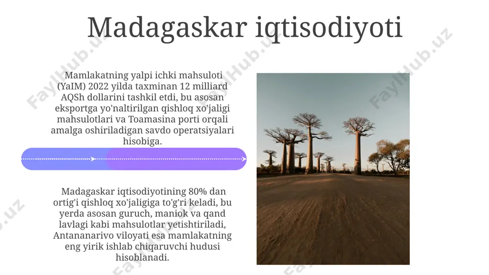madagaskar orollari - Page 4