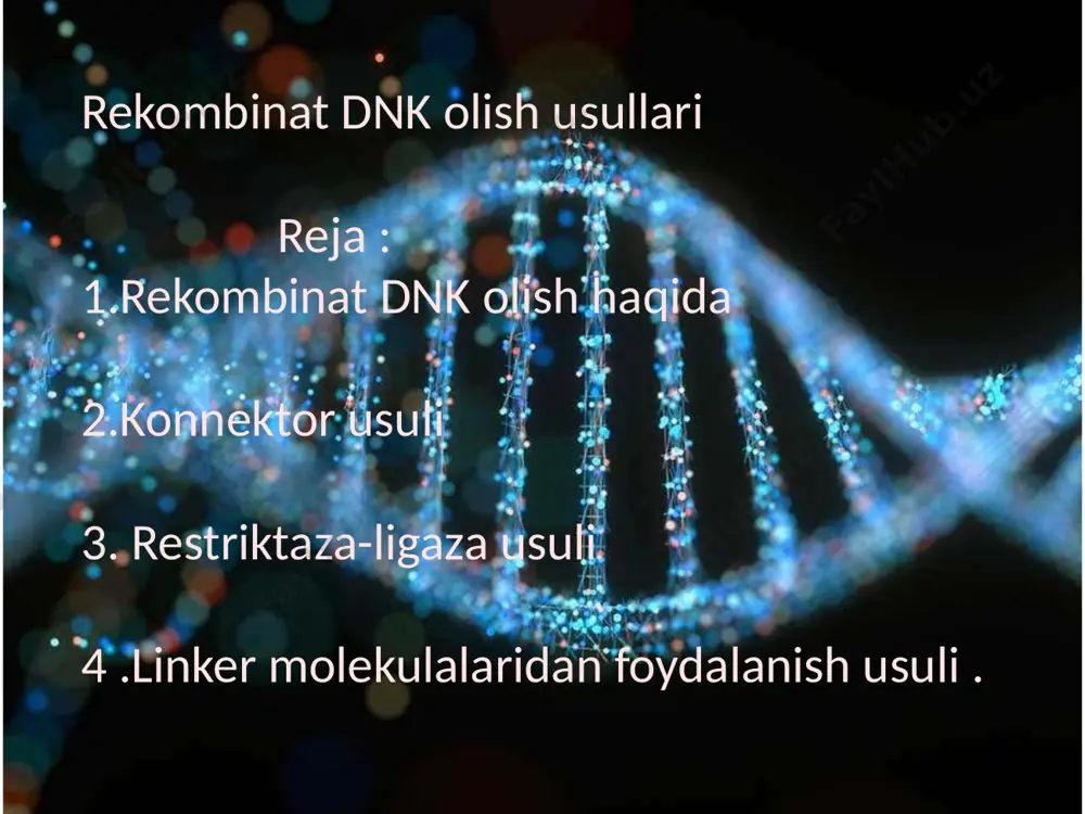 lar hosil qiluvchi restriktaza bilan qirqiladi va aralashtirilgan holda maʼlum sharoitda reassotsiatsiya qilinadi. komplementarlik xususiyatiga koʻra dnk molekulalari oʻzaro vodorod bogʻlar yordamida birikib xalqasimon struktura hosil qiladi va dnk zanjirining birikmagan joylari dnk ligaza fermenti yordamida ulanadi linker molekulalaridan foydalanish usulida dnk molekulasiga va vektor plazmidaga t4 fag dnk ligaza fermenti yordamida maxsus nukleotid ketma ketligiga ega boʻlgan linker molekula ulanadi.olingan ikki turdagi dnk molekulalari restriktaza fermenti yordamida qirqilib ,aralashtirilgan holda qaytadan assotsatsiya qilinadi.dnk va vektor plazmida molekulalarining birikmagan joylari dnk ligaza fermenti yordamida ulanadi.shu yoʻsinda rekombinat dnk molekulasi hosil boʻladi. image1.jpeg image2.jpeg image3.jpeg image4.jpeg image5.jpeg image6.jpeg image7.jpeg image8.jpeg