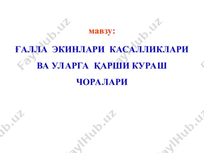 ғалла экинларикасалликлари ва уларга қарши кураш чоралари — PPT