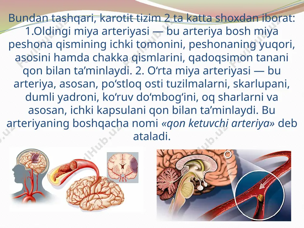 4 soatgacha) o‘tib ketadi. agar bu belgilar o‘tib ketgan bo‘lsa, tekshirganda asab tizimidan hech qanday belgilarni topa olmaymiz. shu vaqtda esa kalla bosh miya nervlarining markaziy falaji, gemiparez yoki gemiplegiya markaziy xarakterda bo‘ladi. bu belgilarning kelib chiqishining asosiy sababi bosh miya qontomirlarining qisilishi (angiospazmi) yoki qontomirlar ichida mikrotromblar hosil bo‘lishidir. klinik manzarasi. umumiy miya belgilari: bosh og‘riq, ko‘z olmasida og‘riq bo‘lib, ko‘zni harakatlantirganda bu og‘riq kuchayadi. bemorda bosh aylanish, ko‘ngil aynish, qusish, bosh va quloqda shovqin bo‘lishi, paresteziya paydo bo‘ladi. bemorning hushi qisqa vaqt yo‘qolishi yoki karaxt, ruhiy qo‘zg‘alishlar, tutqanoq xurujlari, vegetativ o‘zgarishlar, issiqlik sezish, titrash, tez-tez siyib turish va meningial belgilar bo‘lishi mumkin. orqa miya suyuqligining bosimi yuqori, ko‘z tubida ko‘ruv asabining diskida shish va mayda-mayda qon ketishlar bo‘ladi. mahalliy miya belgilaridan paresteziya — yuz va qo‘l-oyoqlarda, ba’zi hollarda, yuqori labda, tilning yarmida, bilakning ichki tomonida, qo‘l va oyoq panjalarida (4—5 bar- moqlar) kuzatiladi. tekshirganimizda sezgining kamayishi, harakat sohasida …
