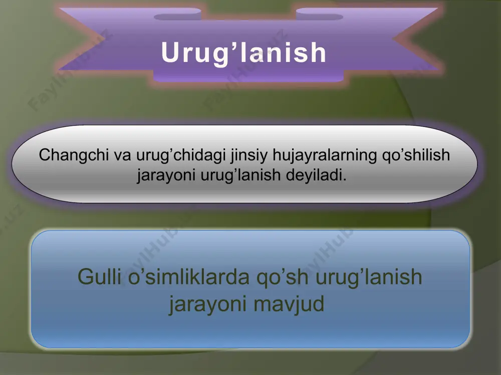 gullarning changlanishi - Page 3