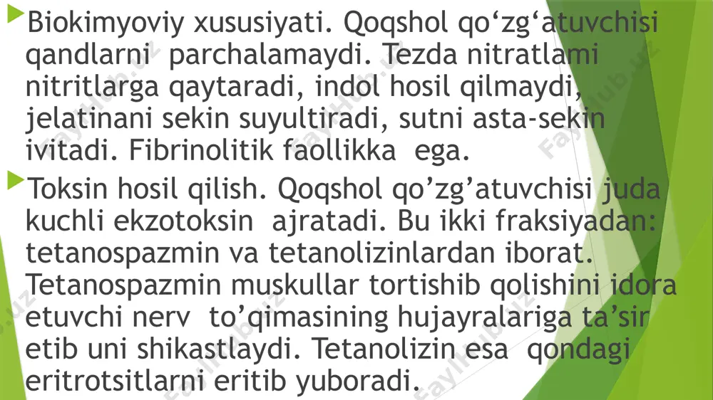 qoqsholqo’zg’atuvchisi - Page 5
