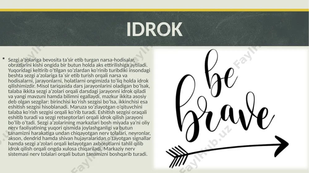 hissi paydo bo’la boshlaydi, lekin chiroqni yoqish orqali u aslida oddiy parda ekanligini ko’rish retseptori bilan to’liq idrok qilinad. bu holat barchada kuzatiladigan holat hisoblanadi, masalan bolalarda esa xonadagi kiyim ilgichda ilinib turgan kiyimlarni qorong’uda ko’rishganida idrokida ijodiy hayolning ta`sirida qo’rqinchli hayvonlarni tasavvur qilib qo’rquv holatini idrok qiladilar bu holat normal insonda ham uchraydi. idrokning negizini tevarak-atrofimizdagi narsa va hodisalar reseptorlarga ta’sir etishi natijasida bosh miyaning katta yarim sharlari qobig’ida hosil bo’ladigan shartli reflekslarning muvaqqat nerv bog’lanishlari tashkil etadi. tashqi olamdagi narsalar va hodisalar kompleks qo’zg’atuvchi sifatida xizmat qiladi. analizatorlarning qobiqbo’linmalaro’zagidaana shu kompleksqo’zg’atuvchilarning murakkab tahlili va sintezi amalga oshiriladi. idrok sezgilarga qaraganda miyaning ancha yuksak darajadagi tahlil qilish, umumlashtirish faoliyati hisoblanadi”. insoning markaziy nerv sistemasida ya’ni oliy nerv faoliyatiga javob beruvchi qism bosh miya katta yarim sharlarining po’stlog’i kulrang moddadan tashkil topgan bo’lib, unda idrok qilish ongli ravishda yaqqol namoyon bo’lishi uchun xizmat qiladigan sezgi retseptorlarning markazlari yoyilgan holda joylashgan. …
