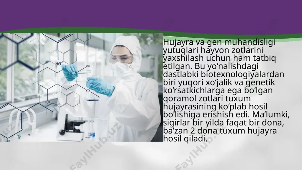 largacha muammo bo‘lib kelar edi. 1997-yil shotlandiyaning roslin instituti olimlari qo‘yning klonini yaratdilar. bu tajribaga qadar yadrosi olib tashlangan zigotaga boshqa embrional hujayradan olingan yadro ko‘chirib o‘tkazilar va hosil bo‘lgan transplant tuxum hujayra o‘gay ona bachadoniga kiritilar (implantatsiya qilinar) edi. shotlandiyaning roslin universiteti olimlari erishgan natijalarning j. gyordon tajribasidan farqi shundaki, ular ilk bor yadrosi olib tashlangan zigotaga voyaga yetgan organizmning somatik hujayrasidan ajratilgan yadroni kiritib, yetuk organizm oldilar gibridomalar. hujayra muhandisligi rivojlanishi gibridomalar olish biotexnologiyasini vujudga keltirdi va monoklonal antitanalar sintez qilish imkonini yaratdi. ma’lumki, normal hujayralar judasekin bo‘linib ko‘payadi va ularning bo‘linishi cheklangan. rak hujayralar esa tez va cheksiz bo‘linadi. biror foydali oqsil sintezlovchi normal hujayra biomassasini sun’iy sharoitda ko‘paytirib, shu oqsil moddani ko‘plab ishlab chiqarsa bo‘ladi. lekin normal hujayralardan yetarli biomassa olish cheklangan bo‘lganligi uchun bunday muammolar o‘z yechimini topmagan edi. 1975-yilda ingliz olimlari keler va milshteyn sun’iy sharoitda antitana sintezlovchi limfotsit hujayrasi bilan cheksiz va tez …
