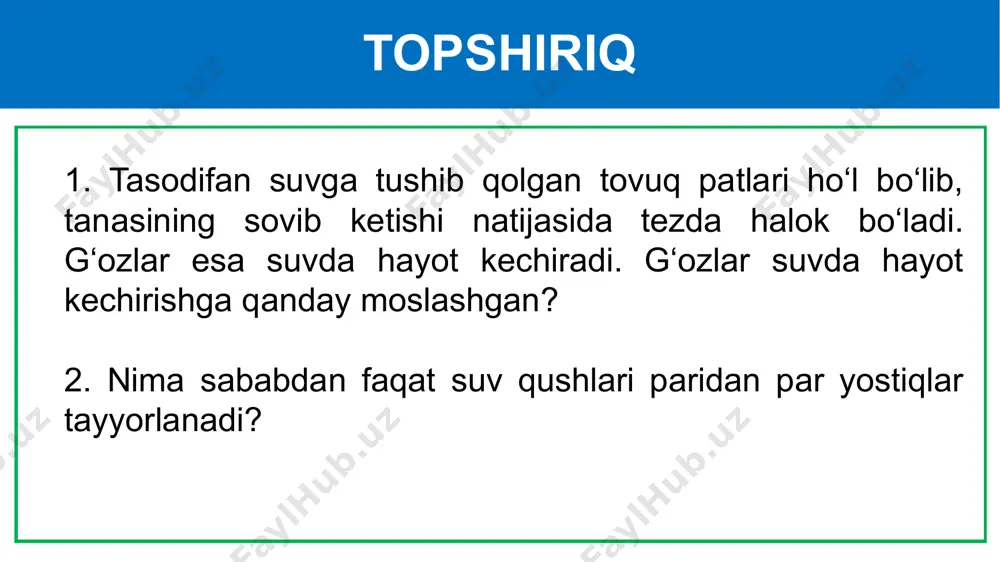 rishga yordam beradi. yapaloqqushlar turkumi yapaloqqushlar – tunda hayot kechirishga moslashgan yirtqichlar. tungi yirtqichlarning yuzi yapaloq yuraksimon bo‘lganidan yapaloqqushlar turkumiga kiritilgan. ularga faqat qorong‘i tushgandan so‘ng ov qiladigan yapaloqqushlar: ukki, boyo‘g‘li, boyqushlar kiradi. yapaloqqushlar tumshug‘ining uchi qayrilgan, tirnog‘i o‘tkir bo‘lib, tirik o‘ljani tutishga imkon beradi. yapaloqqushlar turkumi ularning ko‘zlari katta, ko‘z qorachig‘i keng ochiladi. shuning uchun g‘ira-shira yorug‘likda ham mayda hayvonlarni ko‘ra oladi. sezgir quloqlari esa tunda shitirlagan ovozni ham ilg‘ab oladi. patlari g‘ovak va yumshoq bo‘lganidan uchganida ovoz chiqmaydi. boyo‘g‘li boyo‘g‘li – ukkiga nisbatan ancha kichik. kechqurunlari simyog‘och yoki daraxtlarning qurigan shoxida o‘tirib olib, o‘lja poylaydi. bu qush o‘simliklarga ziyon keltiradigan qo‘ng‘iz, chigirtka va kemiruvchilarni qirib, juda katta foyda keltiradi. ukki ukki – yapaloqqushlar orasida eng yirigi. boshining ustida quloqqa o‘xshash ikki to‘p pati dikkayib turadi. ukki ko‘proq turli kemiruvchilar bilan oziqlanadi; ba’zan o‘rgimchaklar va ayrim qushlarni ham tutib yeydi. qushlarning ahamiyati qushlar zararkuranda hasharotlar va kemiruvchilarni qirib, tabiatda …
