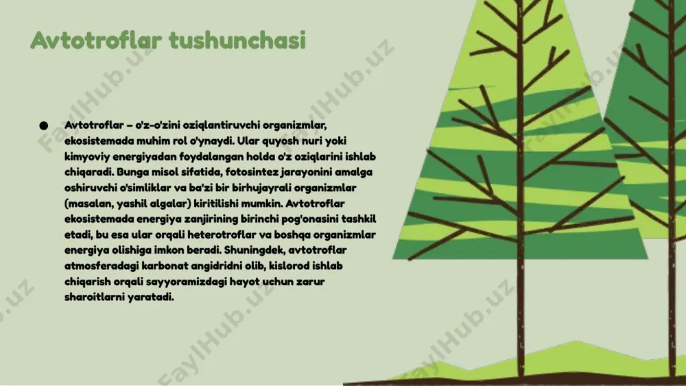 manbalari geterotroflar turli energiya manbalaridan foydalanadi. ular quyidagi oziqlanish turlariga bo'linadi: saprofitar (o'simlik va hayvon qoldiqlaridan oziqlanadi), parazitar (boshqa organizmlardan oziqlanadi) va predator (boshqa organizmlarni ovlaydi). misol sifatida, saprofitarlar sifatida chirigan o'simliklar yoki hayvonlar, parazitarlar sifatida qurtlar, predatorlar sifatida esa bo'rilar keltirilishi mumkin. geterotroflarning energiya manbalari ekologiya uchun muhimdir. ular oziq-zichligining muvozanatini saqlashda va ekosistemalarda energiya oqimini ta'minlashda muhim rol o'ynaydi. energiya manbalari organizmlar o'rtasida bog'lanishlarni va biogeokimyoviy aylanishlarni ta'minlaydi. geterotroflar va oziq zanjiri oziq zanjiri, ishlab chiqaruvchilar (o'simliklar), iste'molchilar (hayvonlar) va parchalaychilar (mikroorganizmlar) o'rtasida energiya va oziq moddalarining uzluksiz oqimini ifodalaydi. geterotroflar oziq zanjirida iste'molchilar sifatida muhim rol o'ynaydi, ular boshqa organizmlardan oziq modda oladilar. masalan, qushlar va sutemizuvchilar o'zlarini oziq zanjirida qidiruvchilar sifatida namoyon etadilar, ularning oziq-ovqat manbalari o'simliklar va boshqa hayvonlardir. geterotroflar ekologik muvozanatni saqlashda ham juda muhimdir, chunki ular oziq moddalarni qayta ishlashda va tuproqda g'oyat zarur bo'lgan elementlarni qaytarishda yordam berishadi, bu esa ekotizimning barqarorligini …