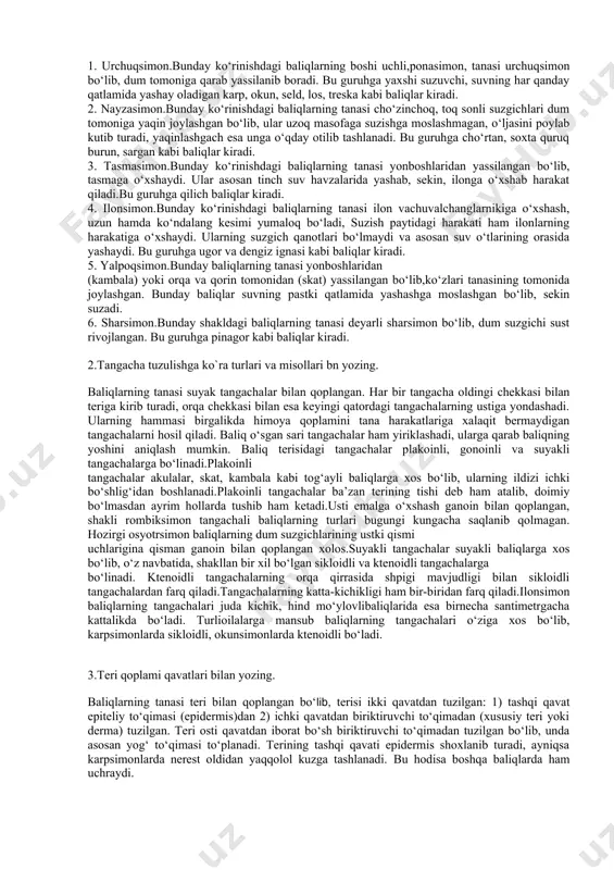 tasmasimon.bunday ko‘rinishdagi baliqlarning tanasi yonboshlaridan yassilangan bo‘lib, tasmaga o‘xshaydi. ular asosan tinch suv havzalarida yashab, sekin, ilonga o‘xshab harakat qiladi.bu guruhga qilich baliqlar kiradi. 4. ilonsimon.bunday ko‘rinishdagi baliqlarning tanasi ilon vachuvalchanglarnikiga o‘xshash, uzun hamda ko‘ndalang kesimi yumaloq bo‘ladi, suzish paytidagi harakati ham ilonlarning harakatiga o‘xshaydi. ularning suzgich qanotlari bo‘lmaydi va asosan suv o‘tlarining orasida yashaydi. bu guruhga ugor va dengiz ignasi kabi baliqlar kiradi. 5. yalpoqsimon.bunday baliqlarning tanasi yonboshlaridan (kambala) yoki orqa va qorin tomonidan (skat) yassilangan bo‘lib,ko‘zlari tanasining tomonida joylashgan. bunday baliqlar suvning pastki qatlamida yashashga moslashgan bo‘lib, sekin suzadi. 6. sharsimon.bunday shakldagi baliqlarning tanasi deyarli sharsimon bo‘lib, dum suzgichi sust rivojlangan. bu guruhga pinagor kabi baliqlar kiradi. 2.tangacha tuzulishga ko`ra turlari va misollari bn yozing. baliqlarning tanasi suyak tangachalar bilan qoplangan. har bir tangacha oldingi chekkasi bilan teriga kirib turadi, orqa chekkasi bilan esa keyingi qatordagi tangachalarning ustiga yondashadi. ularning hammasi birgalikda himoya qoplamini tana harakatlariga xalaqit bermaydigan …