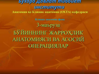 klіnіk anatomіya fani — PPT