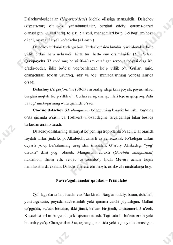 evasi uchun tropik mamlakatlarda ekiladi. dalachoylar esa efir moyli, oshlovchi moddalarga boy. navro’zgulnamolar qabilasi – primulales qabilaga daraxtlar, butalar va o’tlar kiradi. barglari oddiy, butun, tishchali, yonbargchasiz, poyada navbatlashib yoki qarama-qarshi joylashgan. gullari to’pgulda, ba’zan bittadan, ikki jinsli, ba’zan bir jinsli, aktinomorf, 5 a’zoli. kosachasi erkin bargchali yoki qisman tutash. toji tutash, ba’zan erkin yoki butunlay yo’q. changchilari 5 ta, tojbarg qarshisida yoki toj nayida o’rnashgan. ba’zan tashqi doira hosil qiladigan, staminodiy ko’rinishidagi kosachabarglari qarshisiga birikkan, tojsimon o’simtalari ham bor. mevachi lizikarp, ustunchasi oddiy yoki bo’lakli, boshchasimon tumshuqchali, tugunchasi ustki, ba’zan yarim ostki yoki ostki. mevalari rezavor, danakli meva yoki ko’sak. hozirgi klassifikatsiyalarga ko’ra qabilaga 4 ta oila birlashtiriladi. ularning ko’pchiligi markaziy, janubiy amerikada, avstraliyada, yangi zelandiyada, janubiy afrika, janubi-sharqiy osiyo hududlarida keng tarqalgan. bitta oilasining turlari butun yer sharida, ayniqsa, shimoliy yarimshaming mo’tadil va sovuq iqlimli hududlarida keng tarqalgan. 41-rasm. a. thea sinensis, б. hypericum perforatum. 1-gulli novdasi, 2mevali …
