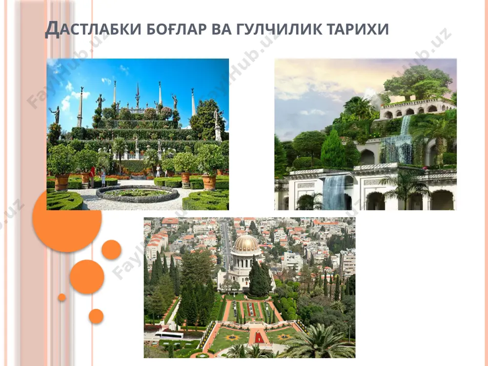 , мамонт дарахти, лола дарахти, америка қора қарағайи ва ҳоказолар экилган. ҳозирги кунда уларнинг жуда оз қисми ўзбекистон шароитига мослашиб уруғ ва мева бермоқда. мамонт, лола дарахти ва қора ель ўзбекистон гулчилик ва гулчиликнинг ахволи ва ривожланиши гулчилик бизнинг республикамизга узоқ шарқдан хитой ва ҳиндистондан буюк ипак йўли орқали кириб келган ва биринчи бўлиб самарқандда, сўнгра бухоро, қўқон ва бошқа шаҳарларда тарқалган. 1920 йилдан бошлаб ўрта осиё давлат университетининг қошида 12 гектарлик ботаника боғи ташкил қилиниб 60 зиёд гул навлари етиштирилган. гул навлари 300 тага кўпайтирилгач бу боғ 1943 йилда академия ҳисобига ўтказилган ва янги ботаника боғи ташкил этилиб, ер майдони 80 гектарни ташкил қилган. 1962 йилдан бошлаб республикамизнинг еттита шаҳри – андижон, ангрен, олмалиқ, бухоро, самарқанд, фарғона ва урганчда ўсимликшунослик хўжаликлари ташкил топди. бу хўжаликларнинг майдони 592 гектар эди. 1977 йилга келиб ўзбекистон республикасида 15 та ўсимликшунослик комбинатлари ташкил топди. булардан энг йириги ҳисобланган тошкент гулчилик савхозининг экин майдони …