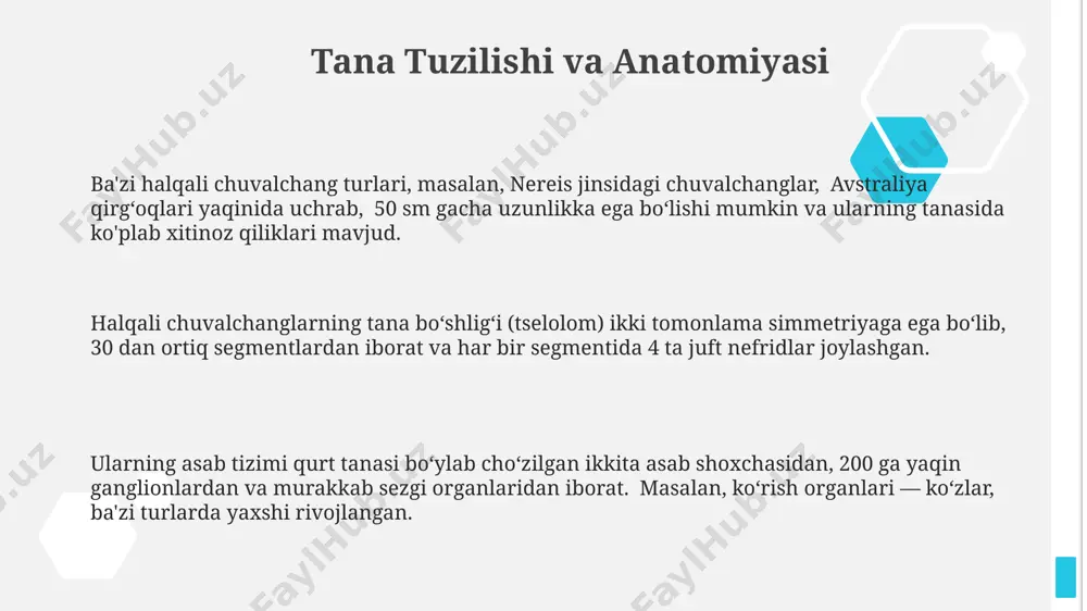 iq turi mavjud boʻlib, ular asosan tropik va subtropik mintaqalar, jumladan, janubi-sharqiy osiyo mamlakatlari, shuningdek, avstraliya va amerika qitʼalarining baʼzi hududlarida keng tarqalgan. e'tiboringiz uchun rahmat @taqdimot_robot
