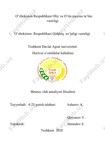 bitiruv oldi amaliyoti hisobot — DOCX