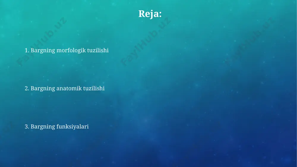 ² barg yuzasiga to‘g‘ri keladigan stomatalarning soni tishli barglarda ko‘proq bo‘lishi mumkin. epidermis va uning xususiyatlari ba'zi oʻsimliklarda epidermis hujayralari trichomalarning (tuklarning) hosil boʻlishiga olib keladi, ularning soni va turi turli xil boʻlib, 1 mm² ga 100 dan ortiq boʻlishi mumkin, bu esa oʻsimlikni quyosh nurlanishidan va hasharotlardan himoya qiladi. epidermisning tashqi qatlami odatda 1-2 qatordan iborat boʻlib, kutikula deb ataluvchi mumsimon qatlam bilan qoplanadi, bu suv yoʻqotilishini kamaytirishga yordam beradi. bargning anatomik tuzilishi bargning anatomik tuzilishi epidermadan, mezofildan va o'tkazuvchi to'qimalardan iborat bo'lib, ularning har biri 10-50 mikrometr qalinlikdagi qatlamlar hosil qiladi. bargning tomirlash tizimi, asosan, ksilema va floema to'qimalaridan tashkil topib, barg yuzasiga parallel yoki tarmoqsimon tarzda joylashadi, bargning uzunligi 1 sm ga 3-5 ta tomir to'g'ri keladi. bargning morfologik tuzilishi bargning sirtini qoplovchi epidermis qatlami, kutikulaning qalinligi va stomatalarning zichligi turli o'simlik turlarida farq qiladi, masalan, cho'l o'simliklarida kutikula qalinroq bo'ladi. bargning morfologik tuzilishi palisad parenximasi va …