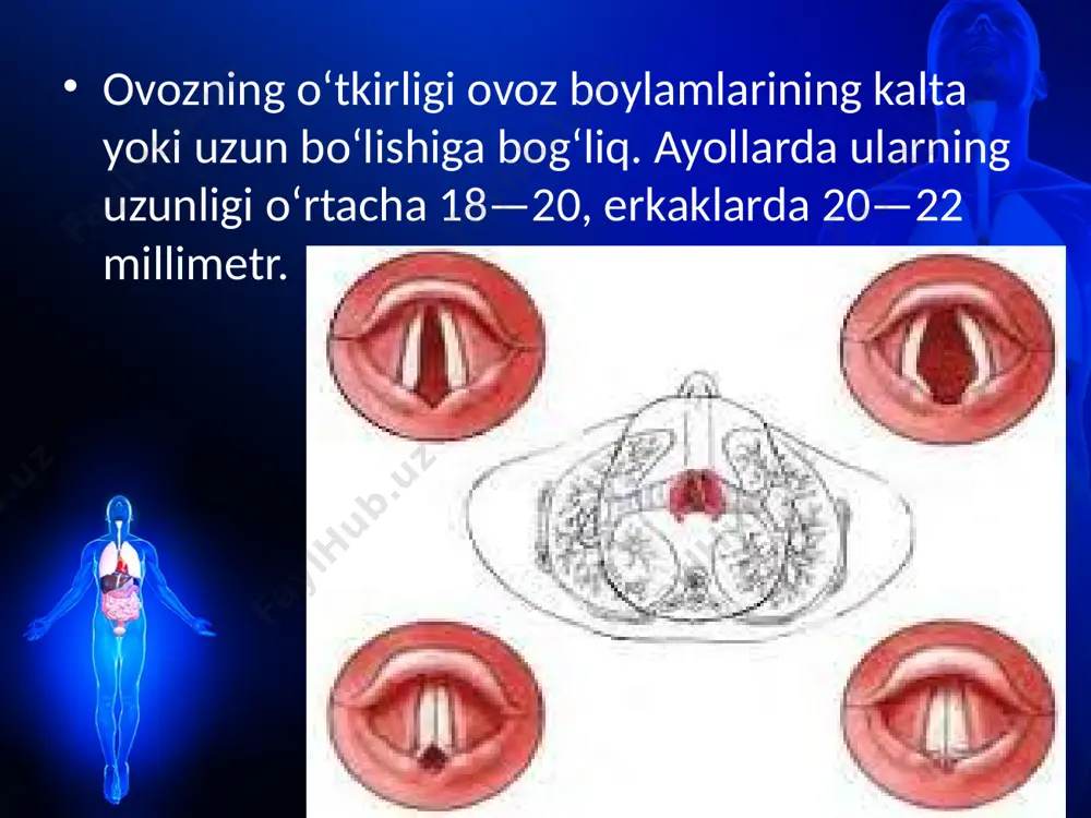 ovoz apparati. 8 - sinf - Page 5