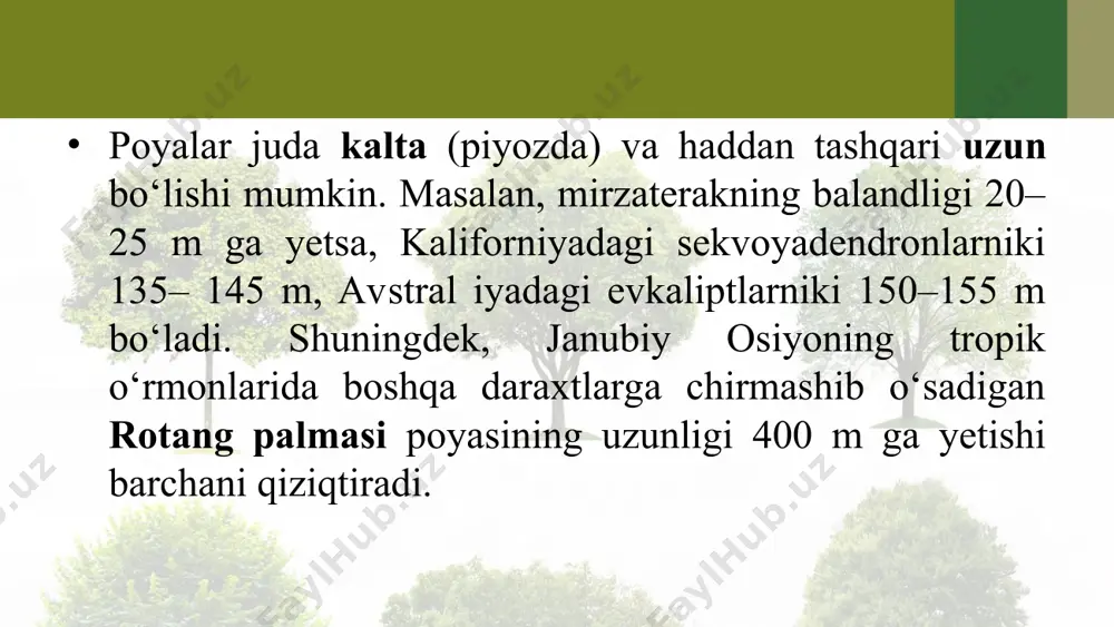poyalarning xilma-xilligi. 5 - sinf - Page 5