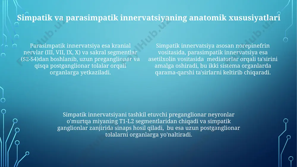 ervatsiya, asetilxolin vositachiligi bilan, yurak urish tezligini sekinlashtiradi, ovqat hazm qilish jarayonlarini kuchaytiradi va organizmdagi "dam olish va hazm qilish" holatini qo'llab-quvvatlaydi. simpatik va parasimpatik tizimlarning antagonistik ta'siri organlar faoliyatini nozik tartibga soladi; masalan, ichak peristaltikasini simpatik tizim sekinlashtirsa, parasimpatik tizim tezlashtiradi, bu jarayonlarda muskarin va adrenergik retseptorlar muhim rol o'ynaydi. parasimpatik nerv sistemasining organlarga ta'siri ovqat hazm qilish tizimiga ta'siri sifatida parasimpatik innervatsiya me'da-ichak trakti harakatini kuchaytiradi, oshqozon shirasi va boshqa hazm fermentlari sekretsiyasini oshiradi, ichak peristaltikasini tezlashtiradi. parasimpatik stimulyatsiya bronxiolarning torayishiga olib keladi, nafas olish tezligini pasaytiradi va bronxial sekretsiyasini oshiradi, bu nafas olishning tinchlanishiga yordam beradi. parasimpatik nerv sistemasining ta'siri yurak urish tezligini 60-100 urish/daqiqadan 40-60 urish/daqiqagacha pasaytiradi, shu bilan qon bosimini ham kamaytiradi va organizmni tinch holatga olib keladi. jinsiy organlarda ikki tomonlama innervatsiya ereksiya jarayonida nitrik oksid (no) ning chiqarilishi va siklik gmp ning darajasining oshishi, parasimpatik innervatsiya ta'siri ostida, qon tomirlarining kengayishiga va jinsiy …