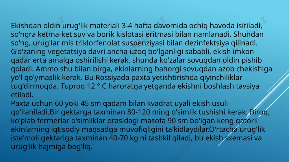 128-132 g., sarg‘ish tukli, vilt bilan kasallanish darajasi 1-3%. bir dona ko‘sagidagi paxta vazni 6,6-7,0 g. navning o‘rtacha o‘suv davri: shimoliy mintaqalarda 122-125 kun, janubiy mintaqalarda 115-118 kun bo‘lib, bu hududlarda o‘rtapishar hisoblanadi. tolasi iv-tipga mansub, tolasining solishtirma uzilish kuchi 32,5-33,4 gs/teks. tola chiqishi 37,5-38,0%, tola shtapel uzunligi 35-36 mm. mikroneyr 4,1-4,4, tola uzunligi (uhi) 1,22-1,24 dyuym. qayerda yaratilgan: sobiq o‘zbekiston g‘o‘za seleksiyasi va urug‘chiligi ilmiy tadqiqot instituti. 2020-yil davlat reyestriga kiritilgan. mamlakatimiz hududida sirdaryo viloyatida ekish uchun tavsiya qilingan. istiqlol 14 navinav o‘rtapishar, nihollari unib chiqqandan birinchi ko‘sagi ochilgungacha bo‘lgan davr 110-120 kun. poyasi baquvvat, yotib qolmaydi. ko‘saklar vazni 6,0-6,4 g, cho‘zinchoq-ovalsimon shaklda, tumshuqchali, yashil rangda, asosan 5 chanoqli, yetilganda erkin ochiladi, paxtasi to‘kilib ketmaydi. tolasining sanoat tipi iv bo‘lib, tola rangi oppoq, chiqimi 37-38 %, uzunligi 34-35 mm, tola pishiqligi 4,4 g.s., mayinligi 6100-6400 mn, tolani uzilish uzunligi 28-29 g.k/teks, mikroneyri 3,9-4,4, o‘rtacha dyuym uzunligi 1,20 ga teng. …