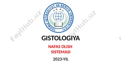 gistologiya nafas olish sistemasi — PPTX