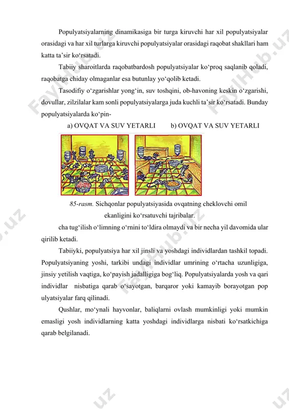 yatga ega bo‘lib, populyatsiyaning ayrim joylarda haddan tashqari ko‘payib ketishiga yo‘l qo‘ymaydigan cheklovchi omillardan biri hisoblanadi. populyatsiyalarning dinamikasiga bir turga kiruvchi har xil populyatsiyalar orasidagi va har xil turlarga kiruvchi populyatsiyalar orasidagi raqobat shakllari ham katta ta’sir ko‘rsatadi. tabiiy sharoitlarda raqobatbardosh populyatsiyalar ko‘proq saqlanib qoladi, raqobatga chiday olmaganlar esa butunlay yo‘qolib ketadi. tasodifiy o‘zgarishlar yong‘in, suv toshqini, ob-havoning keskin o‘zgarishi, dovullar, zilzilalar kam sonli populyatsiyalarga juda kuchli ta’sir ko‘rsatadi. bunday populyatsiyalarda ko‘pin- a) ovqat va suv yetarli b) ovqat va suv yetarli 85-rasm. sichqonlar populyatsiyasida ovqatning cheklovchi omil ekanligini ko‘rsatuvchi tajribalar. cha tug‘ilish o‘limning o‘rnini to‘ldira olmaydi va bir necha yil davomida ular qirilib ketadi. tabiiyki, populyatsiya har xil jinsli va yoshdagi individlardan tashkil topadi. populyatsiyaning yoshi, tarkibi undagi individlar umrining o‘rtacha uzunligiga, jinsiy yetilish vaqtiga, ko‘payish jadalligiga bog‘liq. populyatsiyalarda yosh va qari individlar nisbatiga qarab o‘sayotgan, barqaror yoki kamayib borayotgan pop ulyatsiyalar farq qilinadi. qushlar, mo‘ynali hayvonlar, baliqlarni ovlash …