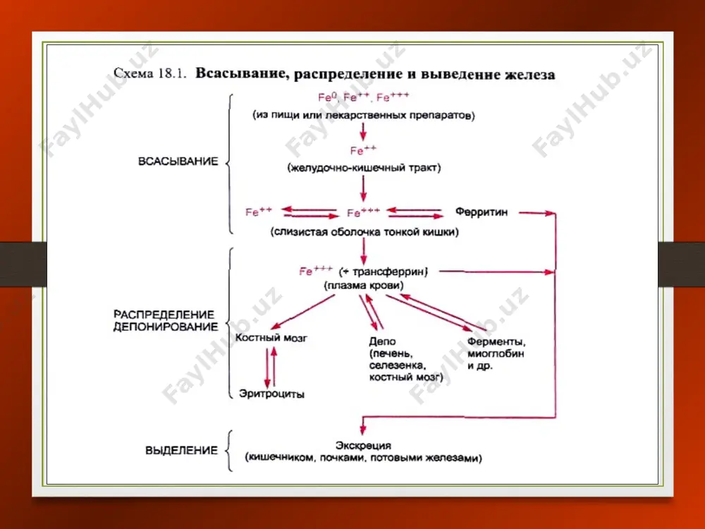 хусусияти бор, катта миқдорларда юборилганда чақалоқларда эритроцитлар гемолизини, метгемоглобинемия ҳолатларини юзага келтириши мумкин. фибринолиз ингибиторлари – аминокапрон кислота, контрикалдир. баъзи септик ҳолатларда, жигар циррозида, шокларда, туғиш даврида, плацента вақтидан олдин кўчганда, катта хажмда қон қуйилганда, нурланиш касаллигида фибринолиз жараёни фаоллиги ошиб кетади , ҳосил бўлаётган фибрин толачалари тез эрийди, қон қуюлиш хусусиятини йўқотиб куяди. натижада кучли қон кетади, бу жуда хавфли бўлиб, фожиа рўй бериши мумкин. бундай ҳолатларда профибринолизиннинг фибринолизинга ўтиш жараёнини фаоллаштиради, фибринолизин эса фибрин толаларини эритиб юборади. бундай пайтда аминокапрон кислота қўлланади, бу модда профибринолизиннинг фибринолизинга ўтиш жараёнини ҳамда фибринолизин ўзининг фаоллиги тормзлайди. бу модда меъда-ичакда яхши сурилади, ичишга буюрилади ҳамда венага юборилади, асосан буйрак орқали ўзгармасдан чиқиб кетади, кам захарли модда хисобланади. контрикал фибринолизин фаоллигини камайтиради, яъни фибринолиз ингибитори ҳисобланади. контрикал қора молларнинг ўпка тўқималаридан олинади, венага юборилади. тромбоцитлар агрегациясини оширадиган моддалар – кальций моддалари. кальций беъвосита тромбоцитлар агрегациясига, тромбин ҳамда фибрин толалари ҳосил бўлишини оширади. кальций …