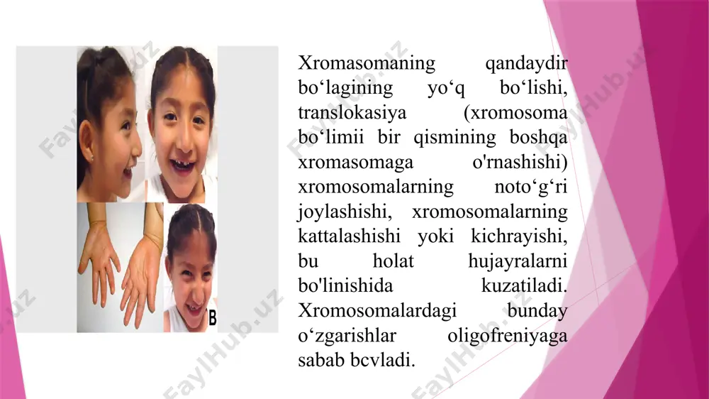 axborot texnologiyalari va menejment universiteti - Page 4