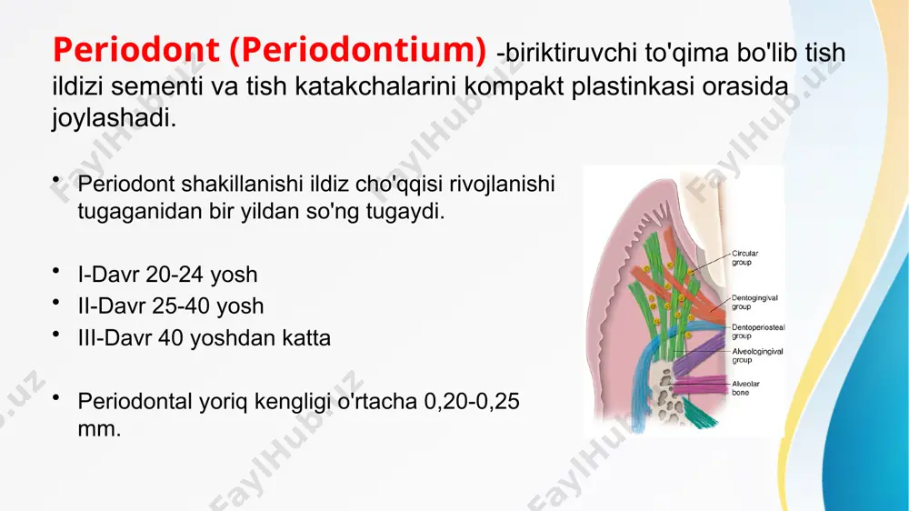 dagi milk och pushti rangda o'zgarmagan,perkussiya ijobiy,regionar limfa tugunlari biroz og'riqli va kattalashgan atsidoz(moddalar almashinuvi buzilishi)rivojlanadi va u biriktiruvchi to'qima shishi qon tomirlar kengayishi,leykotsitlar chiqishiga olib keladi. infiltratlar hosil bo'ladi. 2-faza: ekssudativ jarayon oshib boradi,og'riqlar turg'un yoki oshib boradi. bemor sababchi tishda chaynash imkoni yo'qligi va nazarida tish o'sib qolganday bo'layotganidan shikoyat qiladi har hil yo'nalishdagi perkussiya og'riqli. qimirlash kuzatiladi va ekssudat hisobiga tish biroz ko'tarilib o'sib qoladi(bosim tarqatish funksiyasi buziladi).palpatsiya og'riqli, pulpaning tasirotlarga javob reaksiyasi yoq.yuqori jag'da ekssudat gaymor bo'shlig'ini zararlab odontogen gaymorit chaqirib asoratlanadi. umumiy belgilar ekssudatsiya fazasida bemorning umumiy ahvoli og'irlashadi,ishtaha va uyqu buzilishi,bosh og'rig'i va harorat. qon tahlilida leykotsitoz va echt oshishi kuzatiladi obektiv ko'rilgand sababchi tish sohasi jag' osti , daxan osti limfa tugunlari kattalashganligi va og'riqliligi kuzatiladi qiyosiy tashxis o'tkir cho'qqili periodontit o'tkir marginal periodontit,zo'rayish bosqichidagi surunkali periodontit,o'tkir diffuz pulpit bilan qiyosiy tashxislanadi. o'tkir marginal periodontit bilan: umumiy o'xshash belgilar:simillovchi doimiy ovqatlanganda zo'rayadigan og'riq,limfa …
