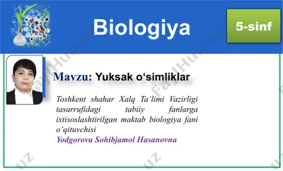 yuksak o‘simliklar — PPTX
