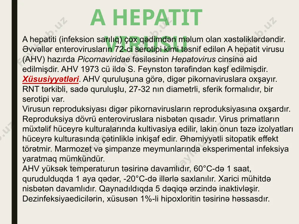 eyrənin lizisi nəticəsində xaric olur, yaxud yenidən həmin hüceyrənin nüvəsinə daxil olaraq hüceyrədaxili tsikli davam etdirir. virusun replikasiyası ilə bərabər virus dnt-si sahib hüceyrənin genomuna inteqrasiya olunaraq fraqmentlər şəklində hüceyrə dnt-nin ayrı ayrı sahələrilə birləşir. i̇nteqrasiyadan sonra virus dnt-nin ancaq hbs-antigenə müvafiq sahəsindəki informasiya reallaşa bilir, bu isə hətta virus replikasiya oluna bilmədiyi təqdirdə belə hbs-antigenin sintezini təmin edir. nəticədə qan zərdabında hbs–antigendən ibarət hissəciklərə –diametri təqribən 22 nm olan sferik hissəciklərə və diametri 22 nm, uzunluğu 50-230 nm olan filamentoz hissəciklərə rast gəlinir. reproduksiya kultivasiya bhv toyuq embrionunda və əksər hüceyrə kulturalarmda çoxalmır, ancaq qarciyərin ilkin xərçəng toxumasından alınmış hüceyrə kulturasında, persist infeksiya kimi, sitopatik təsir göstərmədən və virionların çox az miqdarda toplanması ilə kultivasiya olunur. şimpanze, qorilla, oranqutan meymunları virusa həssas olduqlarından onlardan eksperimental model kimi istifadə edilir. bhv ətraf mühit amillərinə və dezinfeksiyaedici maddələrə qarşı yüksək davamlılığa malikdir. 370c-də 1 saat müddətində, qurudulmuş halda 25c-də 1 həftə …
