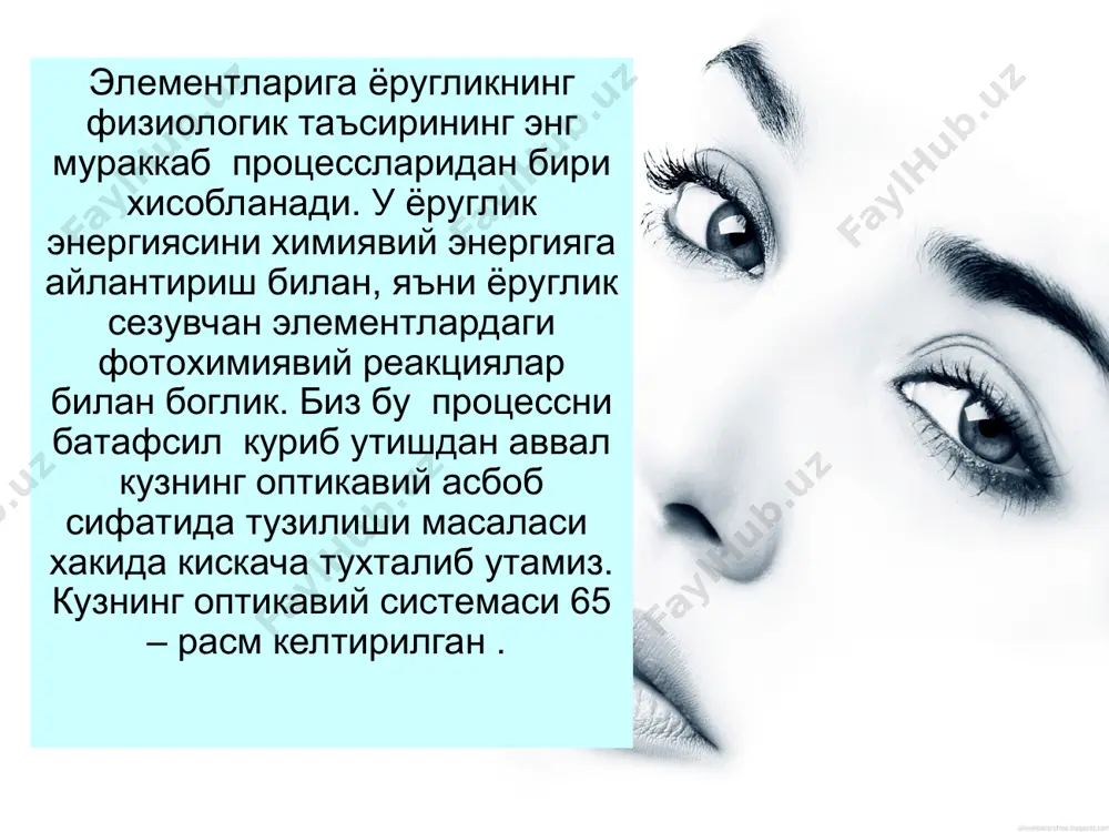 нинг сабаби шуки, бу ерд хар бир колбчадан куриш нервининг битта толаси утади , четрок кисмларида эса хар бир нерв толасига бир нечта колбача а таёкча тугри келади. уртача хисобда битта нерв толасига 140 га якин колбача ва таёкча тугри келади. колбача ва таёкчаларнинг функциялари бир хил эмас. таёкчалар ёругликка нисбатан сезгиррок, лекин улар рангни ажратмайди, колбчалар эса ранг ажратиш имконини берди. шу туфайли гира-ширада ва тунда куриш таёкчалар ёрдамида амалга оширилади. бунда буюмлар бир – бирларидан факат равшанликлари билан фарк килади, уларнинг ранглари, тёкчаларнинг турли рангларга сезгирлиги бир хил булмаса- да, бир хил булиб куринади. таёкчалар сезгирлигининг максимуми  = 0,5 мкм якинида ётади, колбчалар сезгирлигининг максимуми  = 0,555 мкм га мос келади. пуркинье ходисаси деб аталувчи кундузги куришдан гира – шира вактдаги куришга утганда объектларнинг рангини сезишнинг узгариши, яъни кизил рангларнинг хиралашиши, кук – хаво рангларнинг эса кучайиши шу билан тушунтирилади. куриш табиати таёкчалар ёрдамид куриш холи …