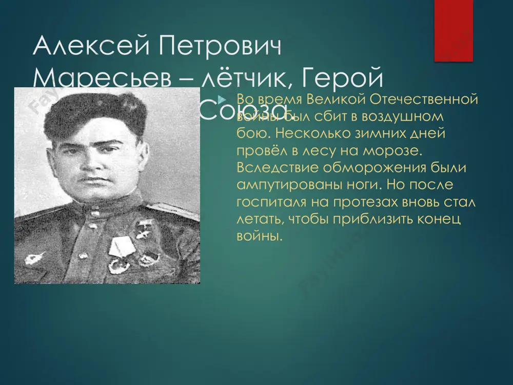 сто мужеству в современном мире? слайд 2, алексей петрович маресьев – лётчик, герой советского союза. слайд 3, юрий алексеевич гагарин – лётчик-космонавт. герой советского союза слайд 4, майор сергей солнечников. герой россии. слайд 5, дмитрий маковкин и сергей наливайко – волгоградские полицейские слайд 6, дети-герои. слайд 7