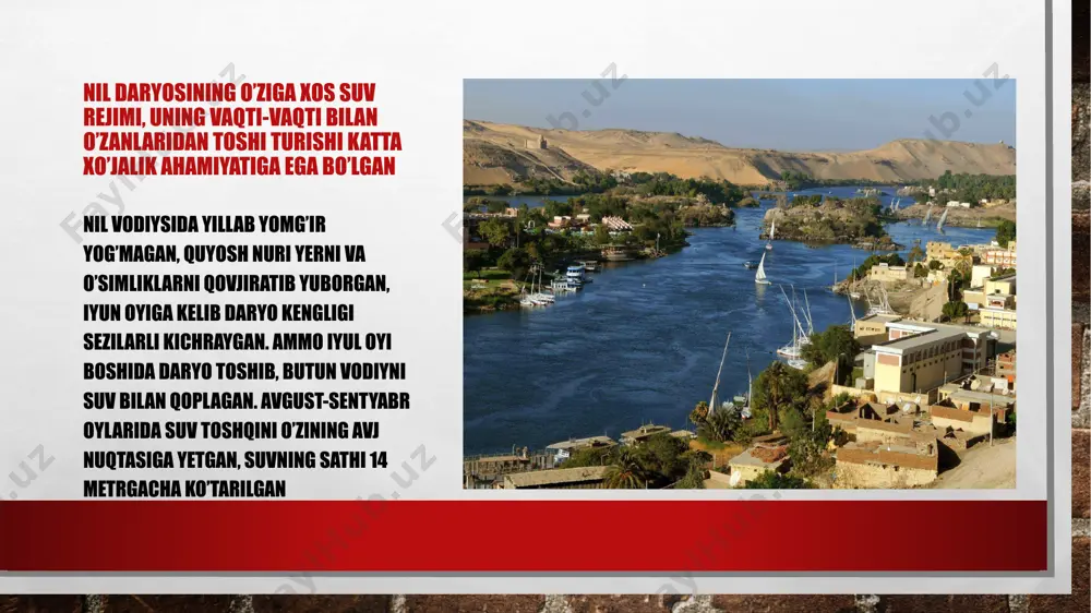 inishi ham yuqori va quyi misrning alohida podsholik sifatida uzoq muddat mavjud bo’lganligini ko’rsatadi. misrning bu ikki qismining birlashishi bilan ularning ramzi bo’lgan qizil va oq ranglardan iborat toj misr sivilizatsiyasining yakuniga qadar podsholik ramziga aylandi. har ikkala podsholik butun mamlakatda hukmronlik uchun kurash olib borar ekan, o’z navbatida iqtisodiy jihatdan bir-birini to’ldirgan. yuqori misr dehqonchilikning markazi bo’lgan bo’lsa, quyi misr – chorvachilik, uzumchilik va bog’dorchilik markazi edi ilk podsholik davrida sun’iy sug’orishning xo’jalik madaniyati asosida misr sivilizatsiyasining iqtisodiy va siyosiy tizimlari shakllana boshlagan. bu davr asosiy funktsiyasi nil vodiysida sug’orish ishini tashkil etish bo’lgan umummisr davlat aparatining shakllanish davri edi. yuqori mahsuldor bo’lgan qishloq xo’jaligi moddiy madaniyatning taraqqiy etishiga asos bo’ldi. hunarmandchilik rivoj topdi. ilk podsholik davridayoq misrliklar papirus tayyorlashni bilishgan. bu insoniyat tarixidagi maxsus yozuv uchun tayyorlangan ilk qog’oz edi. papirusning paydo bo’lishi sivilizatsiya rivojining asosiy omillaridan biri bo’lgan yozuvning keng tarqalishiga turtki bo’ldi bu davrda misr qo’shnilari …