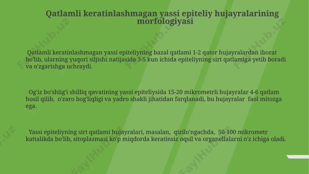 tarkibiy o'zgarishlariga braziliya olimlarining tadqiqotlari misol bo'la oladi. hujayralararo bog'lanishlarning tuzilishi va funksiyasi yoshi bilan o'zgaradi, masalan, 60 yoshdan keyin desmosomalar soni taxminan 20% ga kamayadi, bu esa aqshda o'tkazilgan klinik kuzatuvlarda aniqlangan. mikroskopik tuzilishning tahlili stratifikatsiyalanmagan yassi epiteliyning mikroskopik tuzilishini tahlil qilishda, hujayralar soni 2 dan 5 qatlamgacha o'zgarib turishi, hujayra yadrolarining shakli va joylashuvi esa to'qimalarning joylashgan joyiga (masalan, og'iz bo'shlig'i shilliq qavati) bog'liq ekanligi aniqlandi. o'rganish jarayonida, toshkent tibbiyot akademiyasida olingan namunalarning 10%ida bazal membrana anomaliyalari kuzatildi, bu esa epiteliyning funksional faoliyatiga salbiy ta'sir ko'rsatishi mumkin. tahlilda, sitoplazmaning granulyarligi va hujayralararo bog'lanishlarning xususiyatlari 3d mikroskopiya yordamida o'rganilib, hujayralar orasidagi desmosomalar soni va joylashishi, to'qimaning mexanik mustahkamligiga ta'sirini ko'rsatadi. tivi qatlamning xususiyatlari tivi qatlamdagi hujayralar sitoplazmasida ko'plab ribosomalar va rivojlangan endoplazma retikuliy mavjud bo'lib, oqsil sintezini va hujayra sekretsiyasi jarayonlarini faollashtiradi, masalan, oshqozon-ichak trakti shilliq qavatida. tivi qatlamning qalinligi, organizmning turli qismlarida, masalan, og'iz bo'shlig'i va qizilo'ngachda 10-30 …