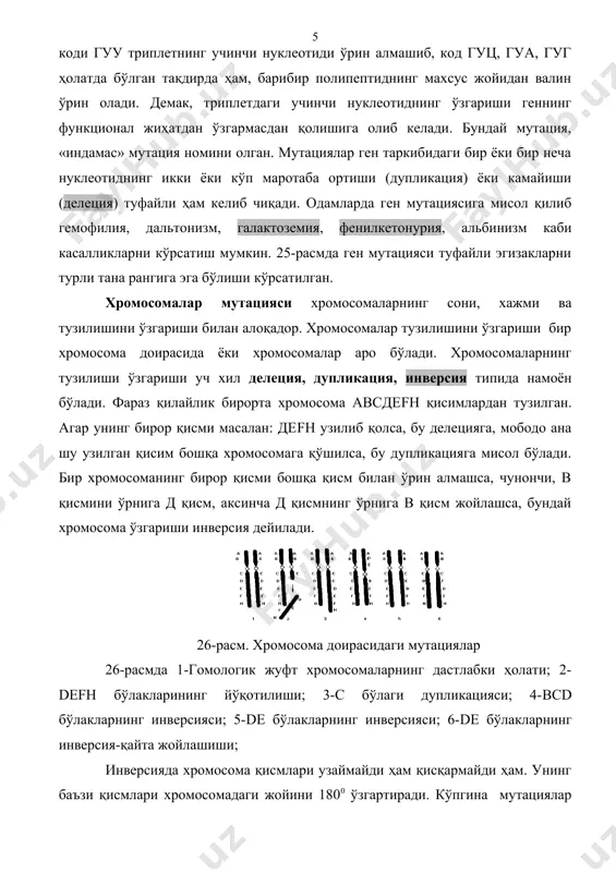 сида ҳам касаллик бўлади. бу делеция гетерозигота ҳолатда фенотипда намоён бўлади. бундай касалликка чалинган болалар гўдаклик давридаёқ ўладилар. 4,13,18 хромосомалардаги делеция ҳам оғир ақлий касалликларни пайдо бўлишига олиб келади. геном мутациялар хромосомалар сонининг ўзгариши билан алоқадор. у икки хил: полиплоидия ва анеуплоидияга бўлинади. полиплоидия хромосомаларнинг неча карра ортиши билан боғлиқ. хромосомаларнинг карра ортиғи соматик ҳужайраларда ҳамда гаметаларда рўй бериши мумкин. агар одамнинг баъзи ҳужайраларда 69 хромосома бўлса, уни триплоид, 92 та бўлса тетраплоид деб аталади. одам эмбрион ривожланишида муртакнинг 69 хромосомага эга бўлиш ҳоллари рўй бериши аниқланган. лекин бундай кариотипга эга муртак бир ёки икки ойлигида нобуд бўлади. дастлаб 60 йилларда бундай кариотипли хомиланинг атиги бир фоизи 6-7 йилгача ривожланиши кузатилган. триплоид ўғил бола ҳомилалик даврида аниқланган бўлса, ҳозирги пайтга келиб 60 та туғилган триплоид болалар 7 кунгача умр кўриши мумкинлиги аниқланган. хромосомалари триплоид бўлган болаларда бош мия, юрак, овқат ҳазм қилиш ва бошқа органлар кўп камомадларга эга бўлиб, бу …