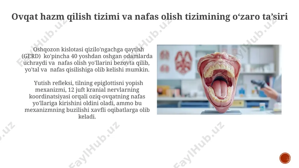 ingning funksiyalari ларинкс, ёки товуш қутиси, нафас олиш йўлининг муҳим қисми бўлиб, ўртача 4-5 см узунликда бўлади ва ҳаёт учун муҳим бўлган нафас олиш ва ютиш жараёнларида иштирок этади. ларинкснинг товон суяклари, эпиглоттис ва қалқонсимон тоғай каби муҳим тузилмалари озиқ-овқатнинг нафас йўлларига тушишини олдини олади ва бу жараён нафас олиш тизимини ҳимоя қилади. ogʻiz boʻshligʻining funksiyalari ogʻiz boʻshligʻi ovqatni 32 ta tishlar yordamida maydalash, saliva fermenti amilaza yordamida uglevodlarning dastlabki hazm qilinishini taʼminlash va taʼm retseptorlari orqali taomning lazzatini aniqlash funksiyalarini bajaradi. ogʻiz boʻshligʻi, nutq hosil boʻlishida, tilning 7 ta asosiy harakatlaridan biri orqali tovushlarni shakllantirishda, masalan, "p" tovushini hosil qilishda muhim ahamiyatga ega. ogʻiz boʻshligʻining tuzilishi ogʻiz boʻshligʻining shilliq pardasi koʻp qavatli yassi epiteliy bilan qoplangan boʻlib, u mexanik shikastlanishlardan va bakteriyalardan himoya qilish funksiyasini bajaradi, bu esa ogʻiz boʻshligʻining sogʻlomligiga muhim ahamiyatga ega. ogʻiz boʻshligʻining old devorini yuqori va pastki jagʻ suyaklari, 28 ta doimiy tishlar va lablar …