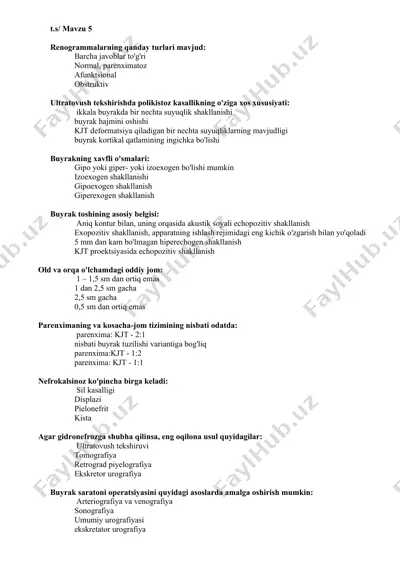 renogrammalarning turkumleri — DOCX
