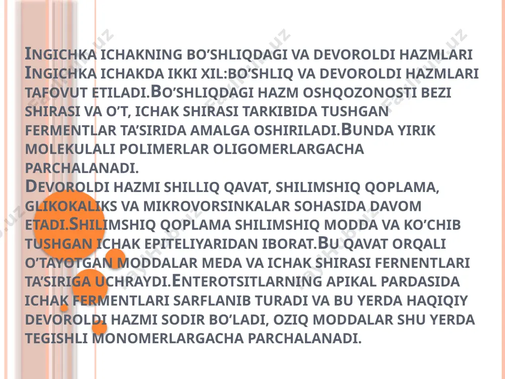 me’da osti bezi fiziologiyasi - Page 5
