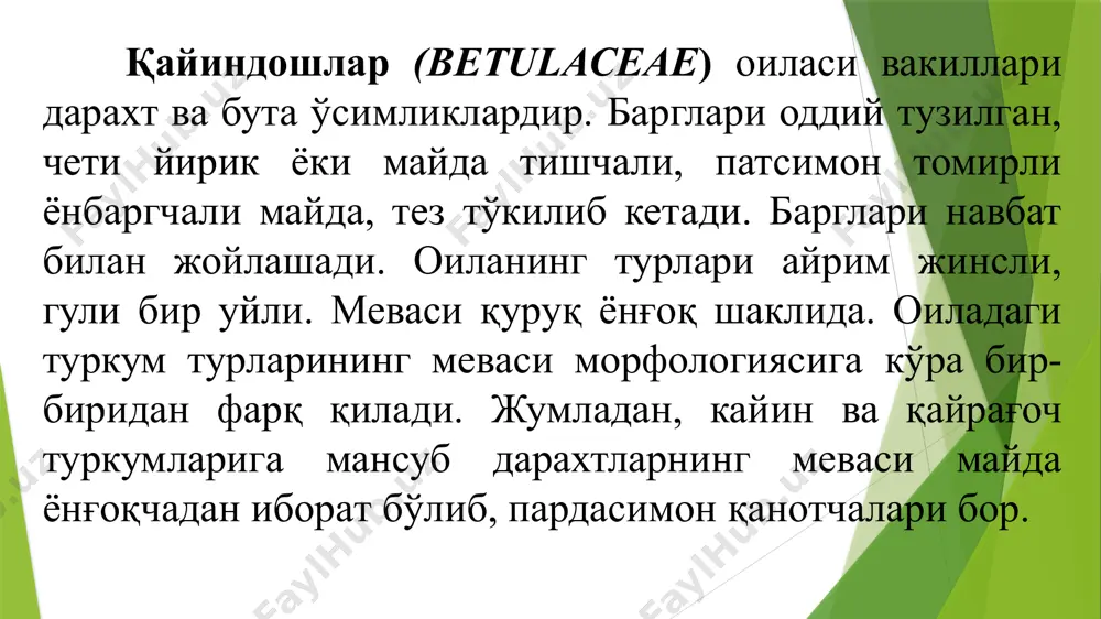 и. қайин туркуми. бу туркумнинг вакиллари дарахт ва бута ўсимликлардир. барглари оддий тузилган бандли, тез тўкиладиган ёнбаргчалари бор, кузда тўкилиб кетади. барг пластинкаси бутун, юмалоқ ва ланцет шаклида, чети тишчали, патсимон томирли. улар бир уйли, айрим жинсли дарахт. қайин эрта бахорда гуллайди ва шу пайтда барг хам ёзади. шамол воситасида чангланади. меваси етилганда ўрама тангачаси дағаллашадн. меваси бир уруғли ёнғоқча бўлиб, шамол воситасида тарқалади. илдизи юза жойлашади. тўнкасидан кўкаради, катта ёшида бу хусусияти йўқолади. қайин 40 ёшгача яхши ўсади, сўнг ўсиши сусаяди. у 100-120 йил яшайди. туркумнинг 100 дан ортик тури бўлиб, уларнинг кўпчилиги мдҳ да учрайди. улар тундра зонасидан дашт зонасигача тарқалиб, катта-катта ўрмонзорлар ҳосил қилади. оқ кайин 1-чангчи ва уруғчи кучалали новдаси, 2-4 уруғчи гули, 5-ҳимоя қобиғи, 6-7 чангчи гули, 8-мева ва баргли новдаси, 9-меваси, 10-11 қобиқлари. 12-тиним давридаги новдаси, 13-новданинг кўндаланг кесими, 14 нихоли. қайиннинг ёғочи қаттиқ бўлиб, механикавий хусусиятига кўра эманнинг ёғочидан қолишмайди. ёғочининг тевараги ок-сариқ …