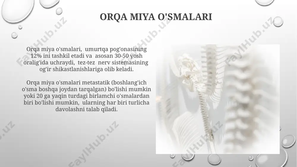 orqa miya tuzilishi vazifasi va patalogiyasi - Page 5