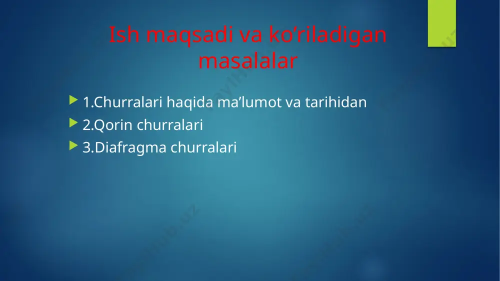 qorin bo’shlig’i ichki churralari - Page 2