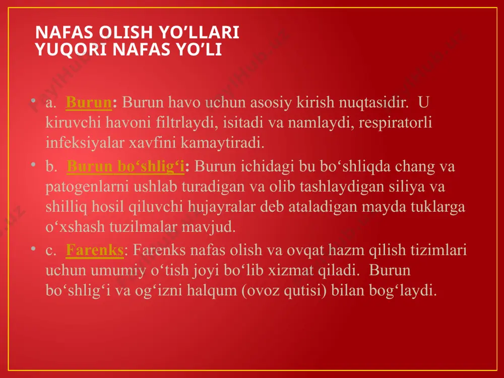 nafas olish tizimi - Page 3